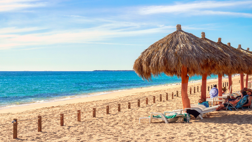 sandy beach lounge chairs