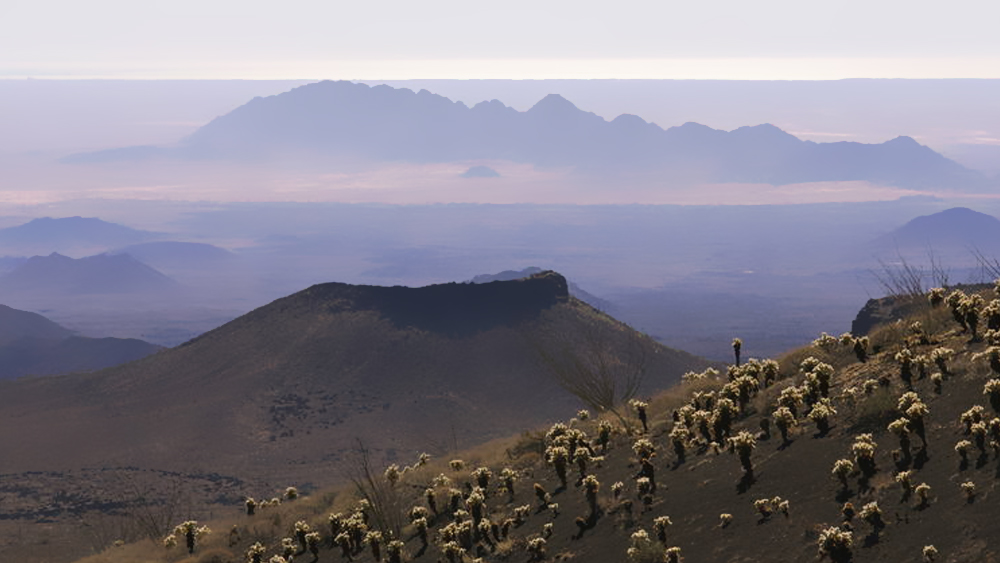 image of biosphere reserve