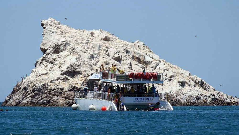 image of Bird Island (Isla San Jorge)