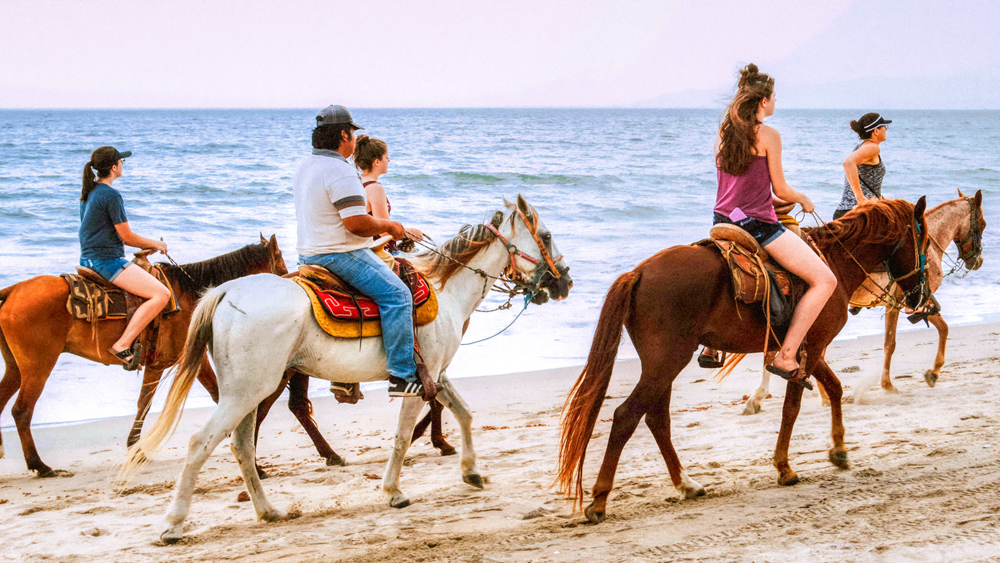 image of a group of people horesback riding along the beach